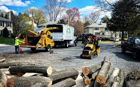 Leaf Removal in Wheelersburg, OH